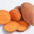 povijnice-batatova-erato-orange.jpg