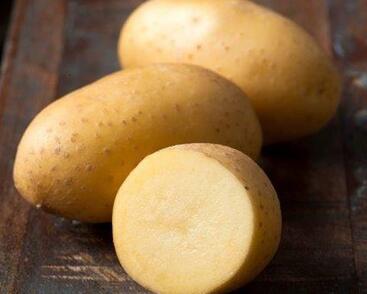 Lilek brambor 'Adessa F1'