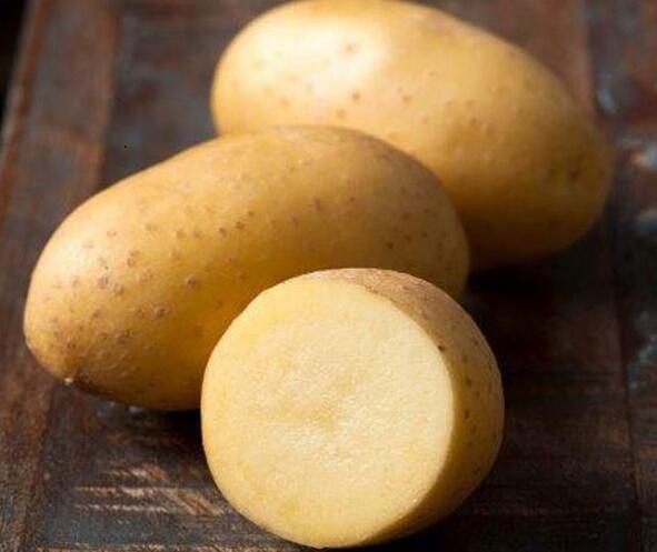 Lilek brambor 'Adessa F1' - Solanum tuberosum 'Adessa F1'