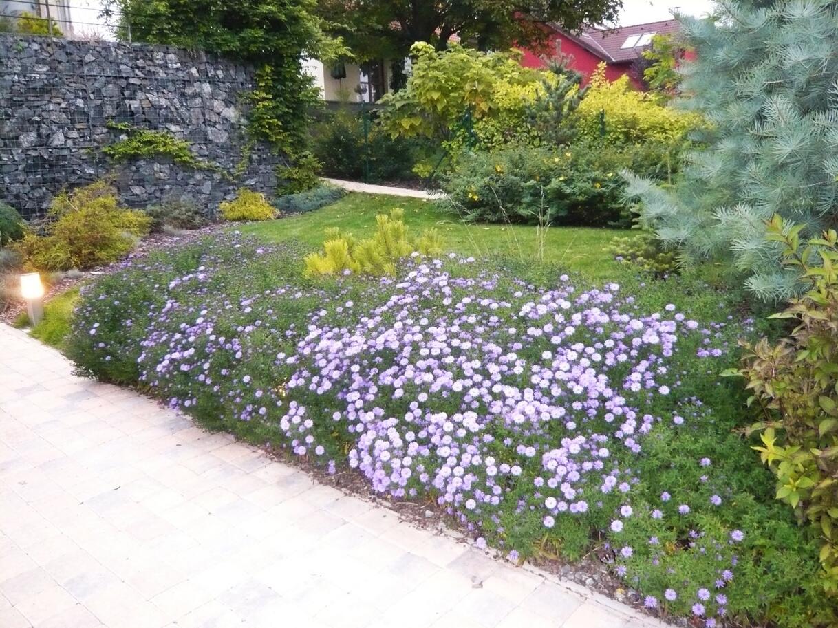 P1050860