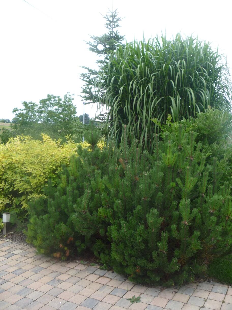 P1070699
