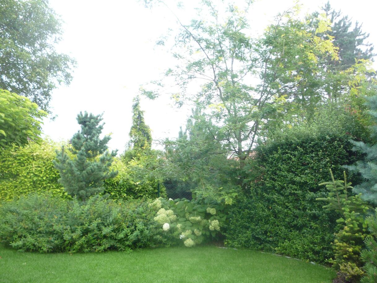 P1070696