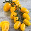 Rajče tyčkové F1 'Mirado Yellow' - Lycopersicon esculentum 'Mirado Yellow'