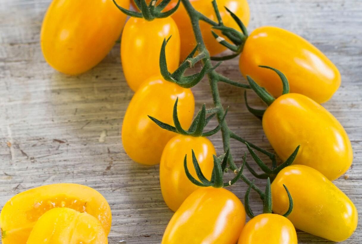 Rajče tyčkové F1 'Mirado Yellow' - Lycopersicon esculentum 'Mirado Yellow'