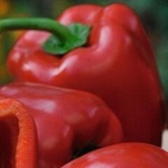 Paprika balkonová 'Almira Midi Red F1' - Capsicum annuum 'Almira Midi Red F1'
