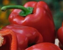 Paprika balkonová 'Almira Midi Red' F1
