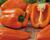Paprika balkonová 'Almira Midi Orange' F1