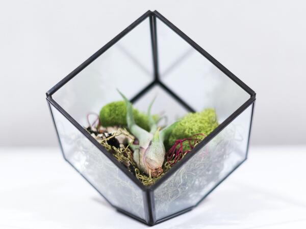 connor-betts-2y6s0qkdgzg-unsplash