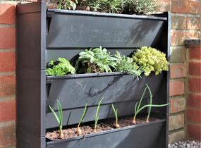 PlantBox® - truhlík pro živé zelené stěny - PlantBox® - truhlík pro živé zelené stěny