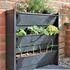 plantbox-truhlik-pro-zive-zelene-steny.jpg