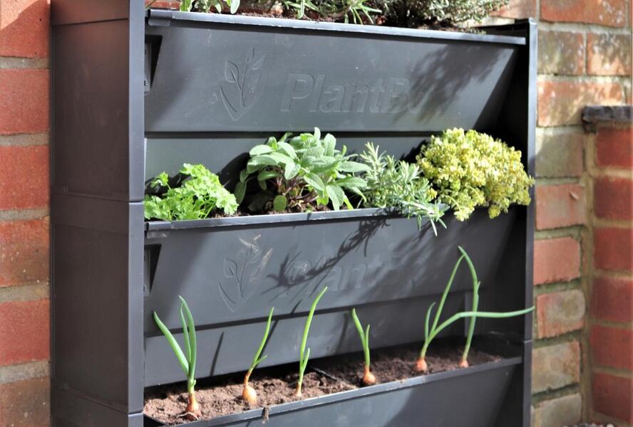 PlantBox® - truhlík pro živé zelené stěny - PlantBox® - truhlík pro živé zelené stěny