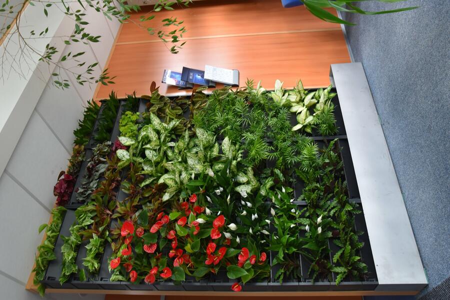 PlantBox® - truhlík pro živé zelené stěny - PlantBox® - truhlík pro živé zelené stěny