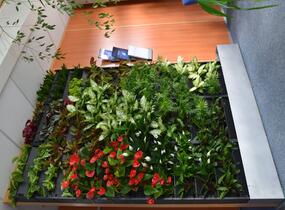 PlantBox® - truhlík pro živé zelené stěny - PlantBox® - truhlík pro živé zelené stěny