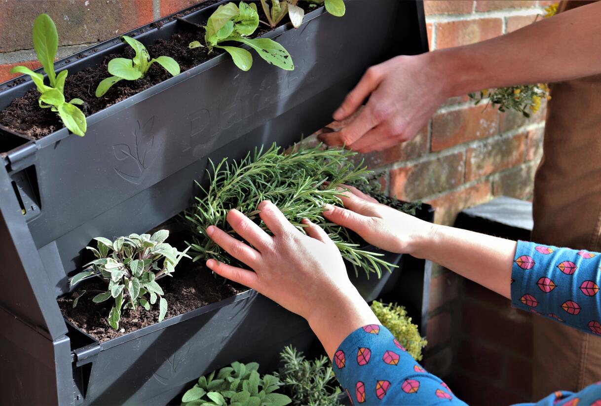 PlantBox® - truhlík pro živé zelené stěny - PlantBox® - truhlík pro živé zelené stěny