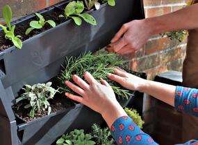 PlantBox® - truhlík pro živé zelené stěny - PlantBox® - truhlík pro živé zelené stěny