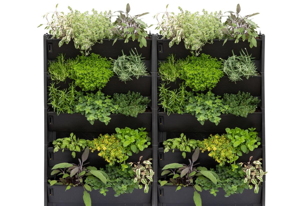 PlantBox® - truhlík pro živé zelené stěny - PlantBox® - truhlík pro živé zelené stěny