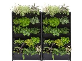 PlantBox® - truhlík pro živé zelené stěny - PlantBox® - truhlík pro živé zelené stěny