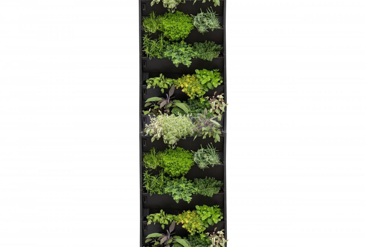 PlantBox® - truhlík pro živé zelené stěny - PlantBox® - truhlík pro živé zelené stěny