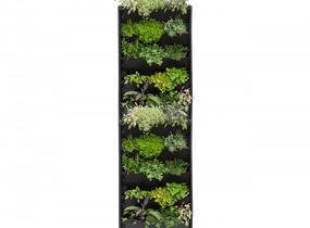PlantBox® - truhlík pro živé zelené stěny - PlantBox® - truhlík pro živé zelené stěny