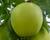 Jabloň zimní 'Golden Delicious Reinders'
