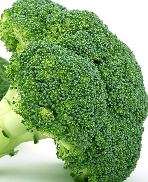 Brokolice raná 'Limba' - Brassica oleracea var. cymosa 'Limba'