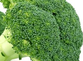 Brokolice raná 'Limba' - Brassica oleracea var. cymosa 'Limba'