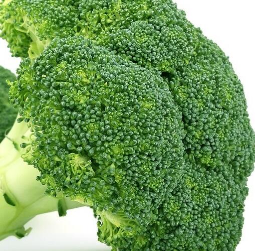 Brokolice raná 'Limba' - Brassica oleracea var. cymosa 'Limba'