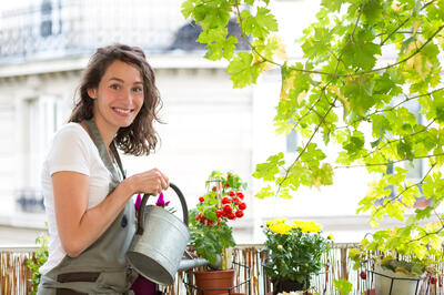 pěstování zeleniny na balkoně_žena zalévá rajčata STŘEDNÍ