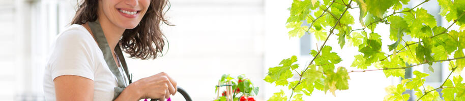 pěstování zeleniny na balkoně_žena zalévá rajčata STŘEDNÍ