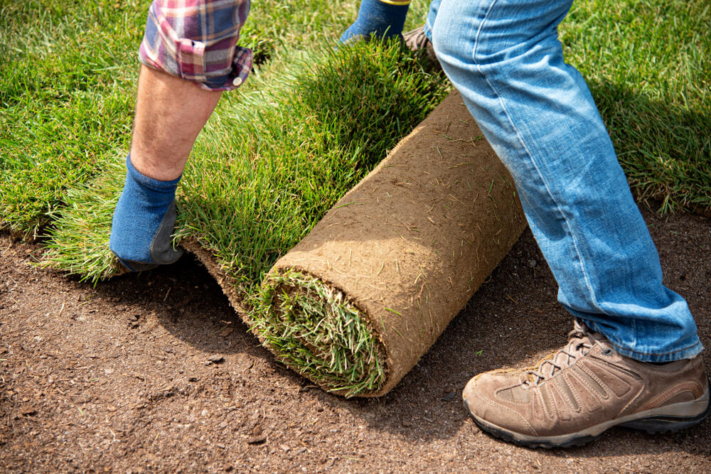 role pokládání trávníkového koberce