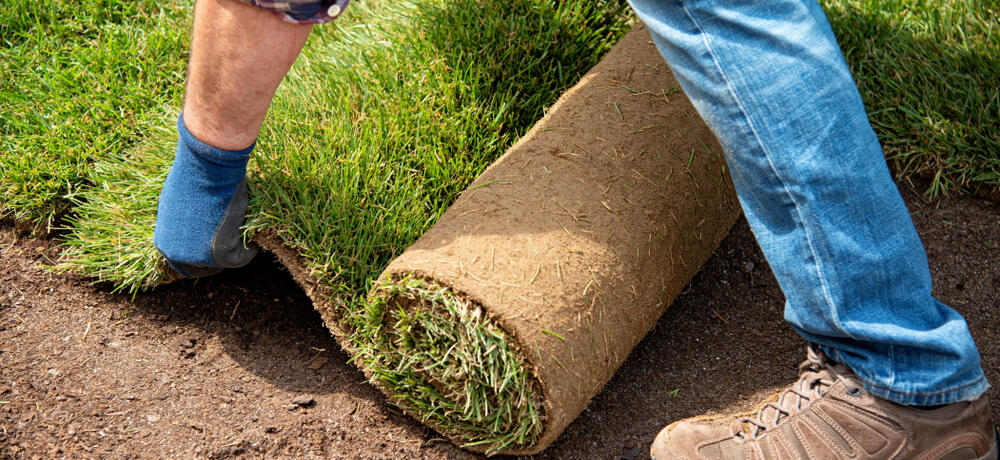 role pokládání trávníkového koberce