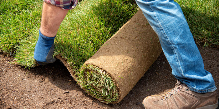 role pokládání trávníkového koberce