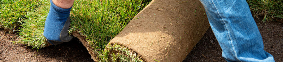 role pokládání trávníkového koberce