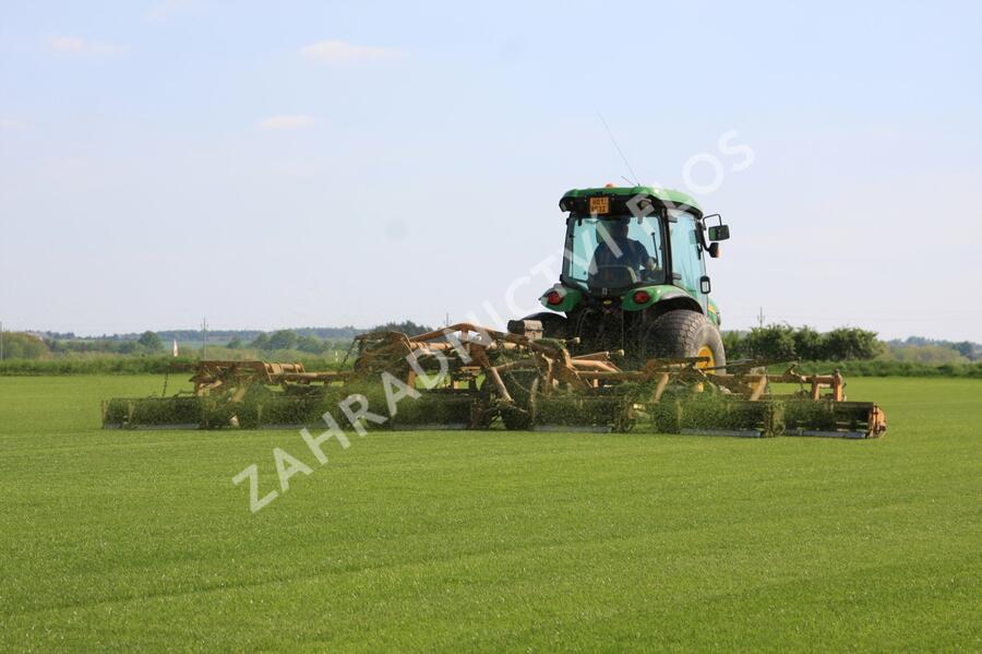 Trávníkový koberec standard - Trávníkový koberec standard