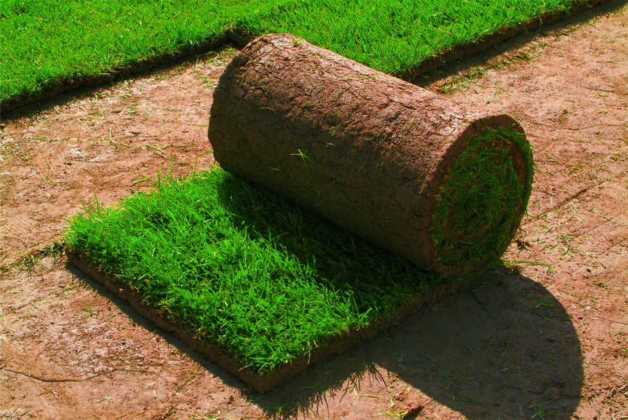 Trávníkový koberec AGRO - Trávníkový koberec AGRO