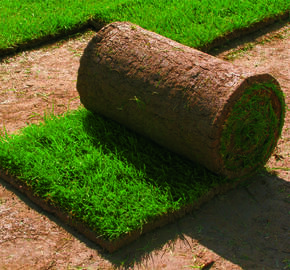 Trávníkový koberec AGRO - Trávníkový koberec AGRO