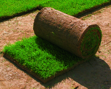 Trávníkový koberec AGRO