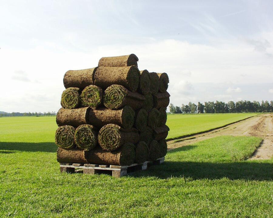 Trávníkový koberec AGRO - Trávníkový koberec AGRO