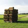 Trávníkový koberec AGRO - Trávníkový koberec AGRO