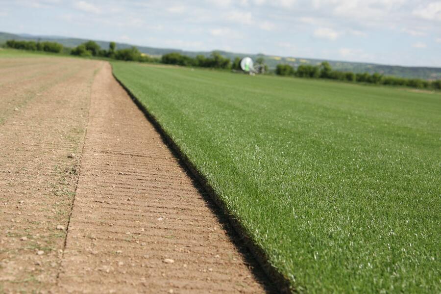 Trávníkový koberec AGRO - Trávníkový koberec AGRO