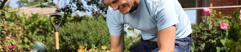 vesely zahradnik sazi letnicky