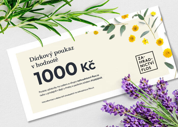 Dárkový poukaz