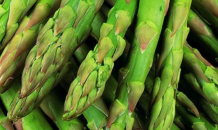 Chřest lékařský 'Gijnlim' - Asparagus officinalis 'Gijnlim'