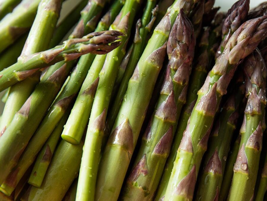 Chřest lékařský 'Backlim' - Asparagus officinalis 'Backlim'