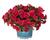 Minipetúnie, Million Bells 'Aloha Double Cherry Red'