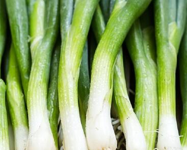 Cibule sečka 'Bajkal'