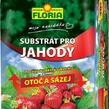 Substrát pro jahody FLORIA 40 l - Substrát pro jahody FLORIA 40 l