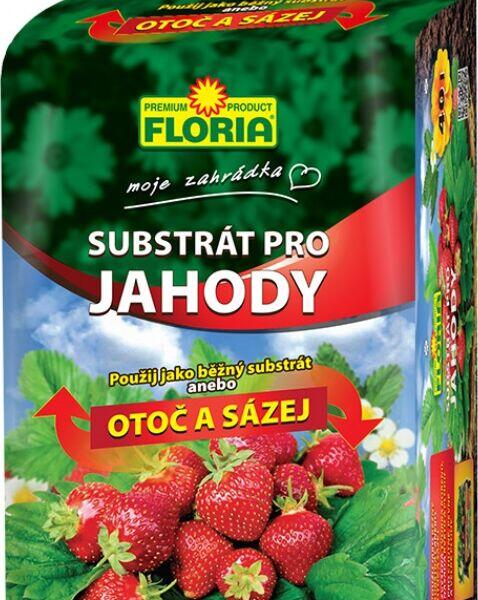Substrát pro jahody FLORIA 40 l - Substrát pro jahody FLORIA 40 l