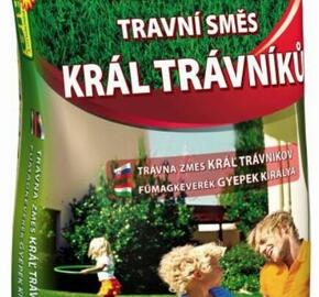 Travní směs FLORIA Král trávníků - Travní směs FLORIA Král trávníků