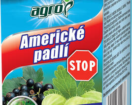 Fungicid se systémovým působením na Americké padlí